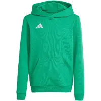 Adidas Entrada 26 Hoodie Groen 11-12 Years Kinderen