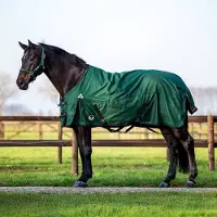 Master 1200D Outdoor 100gr Paardendeken Donkergroen - Maat 215