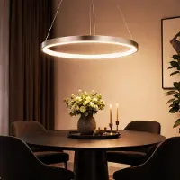 Globo Lighting Hanglamp ring zilver ronde LED lampen woonkamer hangend modern, gemaakt van metaal in nikkel mat opaal, 1x LED 19W 900Lm warm wit, DxH 38,5x120 cm