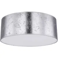 Globo Plafondlamp met Bluetooth speaker 40 cm Slaapkamerlamp zilver woonkamer, bladzilver design, 3x E27, H 17,5 cm