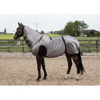 Harry's Horse Eczeem/vliegendeken UV 155 Grijs / Zilver