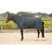 Harry's Horse Deken Thor Met Hals 200gr Grijs - 125/165