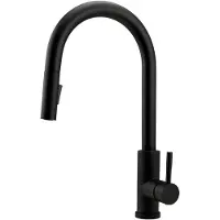 Pure.Sink Keukenkraan matzwart met uittrekbare uitloop PS8045-10