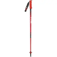 Vola Aluminium Sl Junior Nordic Sr Sl Aluminium-carbon Wereldbekerstokken