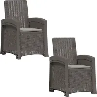vidaXL Ligstoel Rieten Look 2 pcs Lichtgrijs PP