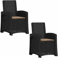 vidaXL Ligstoel Rieten Look 2 pcs Antracietkleurig en taupe PP