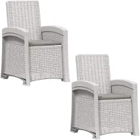 vidaXL Ligstoel Rieten Look 2 pcs Wit en Lichtgrijs PP