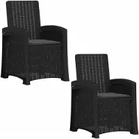 vidaXL Ligstoel Rieten Look 2 pcs Antracietkleurig PP