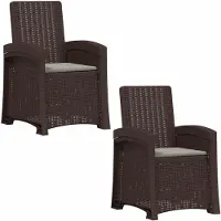 vidaXL Ligstoel Rieten Look 2 pcs Bruin en lichtgrijs PP