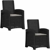 vidaXL Ligstoel Rieten Look 2 pcs Anthraciet en Lichtgrijs PP