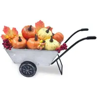Markenlos - Herfstdecoratie met metalen mini-bolderkar, pompoenen en bladeren, vintage boerderijstijl