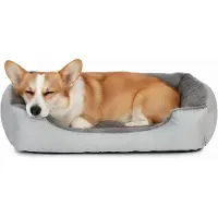 Markenlos huisdiertje bed voor katten en kleine honden – Zacht bed met verhoogde rand – Afmetingen 45 x 60 cm – Antislip en wasbaar