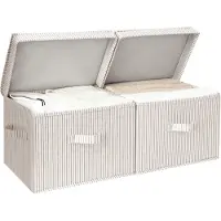 Famanu – Set van 2 opvouwbare opbergdozen met deksel – Stoffen wasmanden met handvatten – Grijs/wit gestreept