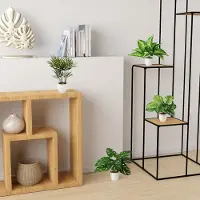 Famanu - Set van 4 tropische kunstplanten zoals echt (25 cm) in witte keramische potten: o.a. Monstera kunstpalm & Areca kunstpalm, kunstplanten in pot, nepplant, kunstbloemen in pot