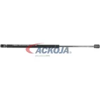 ACKOJA A37-0063 Gasveer achterklep