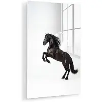 MuchoWow Glasschilderij 120x180 cm - Schilderij acrylglas - Zwart - Paard - Portret - Foto op glas - Muurdecoratie woonkamer - Wanddecoratie slaapkamer - Schilderijen