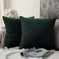 Famanu - Fluweelzachte, decoratieve luxueuze kussenhoes, zachte, moderne, luxueuze sierkussenhoezen voor woonkamer, bank, slaapkamer, met onzichtbare rits, vierkant, 35 x 35 cm, 2 stuks, donkergroen