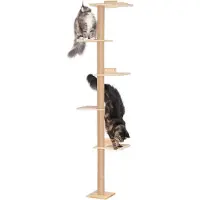 Markenlos kattenboom voor aan de muur, met een platform van 40 cm, 5 niveaus en een 204 cm hoge krabpaal, geschikt voor grote katten