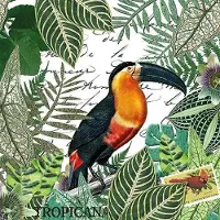 Ambiente Lunch servetten - Tropicana
