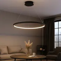 Globo Lighting LED hanglamp eettafel hanglamp ring zwart LED eetkamerlamp hangend, 1x 29W 1400lm 3000K, DxH 60x120 cm