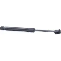 RIDEX 514G0151 Gasveer motorkap