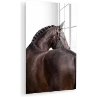 MuchoWow Glasschilderij 120x180 cm - Schilderij acrylglas - Portret - Paard - Elegant - Foto op glas - Muurdecoratie woonkamer - Wanddecoratie slaapkamer - Schilderijen