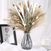 Famanu – Gedroogd pampasgras boeket, natuurlijke droogbloemen voor boho woonkamer, vaas en tafeldecoratie