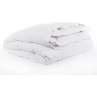 Bjorn Provence Medium 240x220 - Dekbed - 90% Dons - Lente Herfs 240x220 - Tweepersoons Dekbed - Comfort en Ademend - Natuurlijke Ganzendons - Anti Allergie Dekbed - Lente/Herfst - Wasbaar - OEKO-TEX