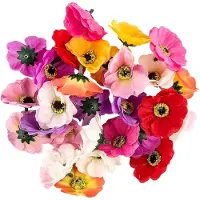 Famanu – Decoratieve bloemen - kunstbloemen - verschillende soorten - ca. diameter 4 - 5 cm (anemoon - kleurrijk - 27 stuks)