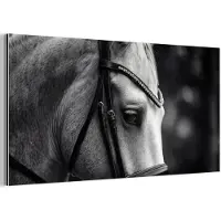 MuchoWow Aluminium schilderij 80x40 cm - Wanddecoratie metaal - Paard - Schimmel - Portret - Metalen muurdecoratie woonkamer - Decoratie industrieel - Foto op dibond - Industriële accessoires slaapkamer