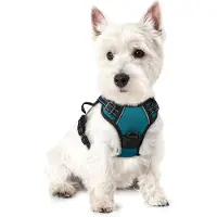 Famanu – Anti-trek hondentuig no-pull, gewatteerd hondenvest met handvat en frontclip, reflecterend en verstelbaar, donkergroen, maat XS