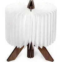 Sinji Houten Boek lamp - Staand model - Sfeerverlichting - Bureaulamp - Leeslamp - 3 LED Lichtstanden - Houten Cover - Medium