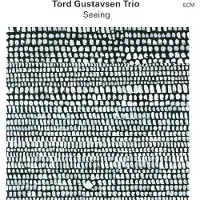 OUTHERE Tord Gustavsen Trio - Seeing (CD)