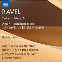 OUTHERE André Dussolier, Isabelle Druet & Orchestre National De Lyon - Orchestral Works · 5 (Antar - Incidental Music · Shéhérazade) (CD)