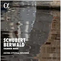 OUTHERE Anima Eterna Brugge - Chamber Music (CD)