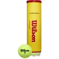 Wilson Tennisbal Championship Extra Duty 4-Tin (Doos 18x4)