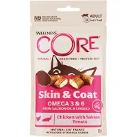 Wellness Core Kattensnack Skin & Coat - Kip & Zalm 50 gr