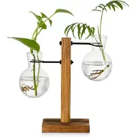 Famanu – Voortplanting station met houten rek en 2 lampen, vintage avocado vaas met glazen reageerbuis voor bloemen, decoratie voor binnen