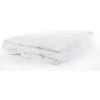 Bjorn Provence Light 240x220 - Dekbed - 90% Dons - Zomerdekbed 240x220 - Tweepersoons Dekbed - Comfort en Ademend - Natuurlijke Ganzendons - Anti Allergie Dekbed - Zomer - Wasbaar - OEKO-TEX