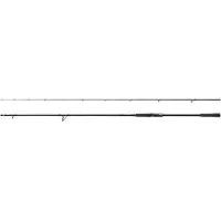 Shimano Fishing Sustain Cx Eva Spinning Rod Zilver 2.34 m / 14-42 g