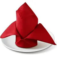Famanu – Set van 6 stoffen servetten van 46x46 cm in bordeauxrood, katoenen tafelservetten voor bruiloften en feesten