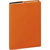 Famanu – Set van 2 groenteschillers, multifunctionele dunschiller met dubbele kop, julienneschiller en rasp, ideaal voor het schillen en hakken van groenten zoals wortelen, appels en komkommers