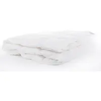 Bjorn Aurora Light 240x220 - Dekbed - 100% Dons - Zomerdekbed 240x220 - Tweepersoons Dekbed - Comfort en Ademend - Natuurlijke Wilde Eendendons - Anti Allergie Dekbed - Zomer - Wasbaar - OEKO-TEX