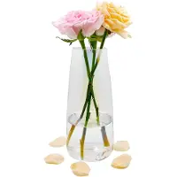 Famanu – Bloemenvaas glas - helder glas vaas - hoog Glazen vaas voor tafel decoratie - decoratieve vaas voor pampas gras - tulpen - orchideeën - rozen - gedroogde bloemen