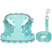 Famanu – Step-in hondentuig met lijn, zacht mesh vestharnas met reflectie voor kleine honden en katten, lichtblauw