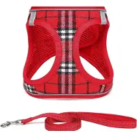 Famanu – Hondentuig voor kleine honden met riem - anti-trektuig Reflecterend ademend borsttuig - puppytuig voor kleine - middelgrote honden (XS - Rood geruit)