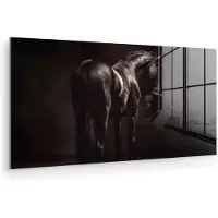 MuchoWow Glasschilderij 160x80 cm - Schilderij acrylglas - Krachtig - Paard - Donker - Foto op glas - Muurdecoratie woonkamer - Wanddecoratie slaapkamer - Schilderijen
