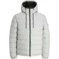 Jack & Jones Winterjas 'Point' lichtgrijs