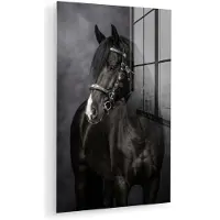 MuchoWow Glasschilderij 120x180 cm - Schilderij acrylglas - Portret - Paard - Zwart - Foto op glas - Muurdecoratie woonkamer - Wanddecoratie slaapkamer - Schilderijen