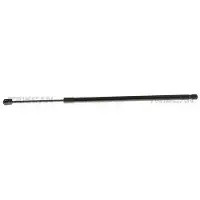 TRISCAN 8710 11365 Gasveer achterklep